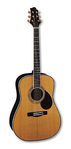 Samick D8 N acoustic guitar