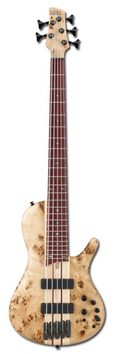 ibanez srsc 805