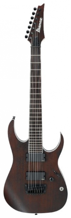 Ibanez Iron Label RGIR 27 BFE Walnut Flat electric guitar