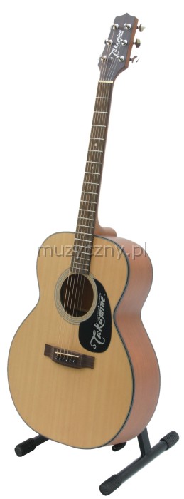 Takamine EG220NS acoustic guitar
