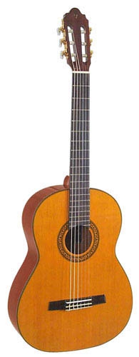 Valencia CG 190 classical guitar