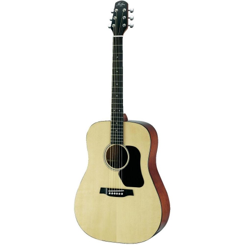 Walden Hawthorne HD220 acoustic guitar