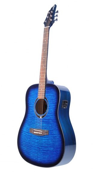 Flycat C100 TBL EQ electric acoustic guitar 
