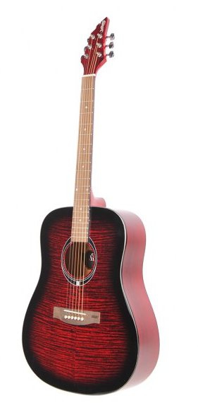 Flycat C100 TRD acoustic guitar