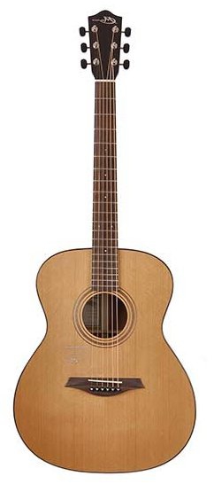 Mayson M1/C marquis acoustic guitar