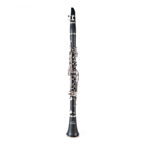 Odyssey OCL 120 Bb clarinet (with a case)