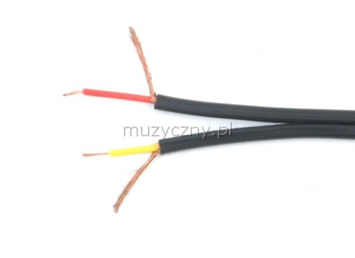 Sommer Onyx 2008 cable stereo
