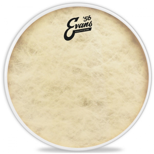 Evans TT14C7 Calftone drumhead 14″