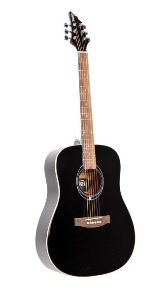 Flycat C100 BK acoustic guitar