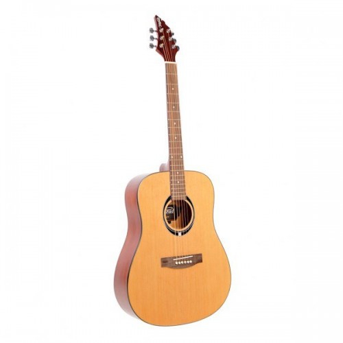 Flycat NT BK acoustic guitar
