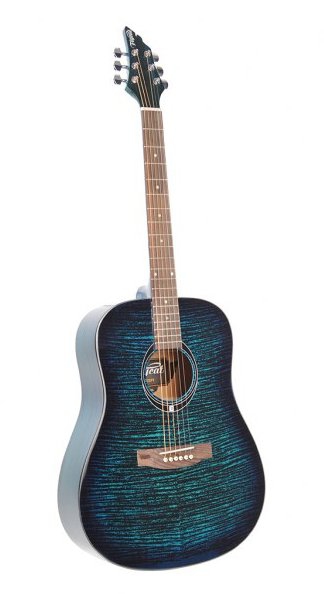 Flycat C100 TBL acoustic guitar