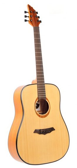 Flycat Deluxe Gloss acoustic guitar