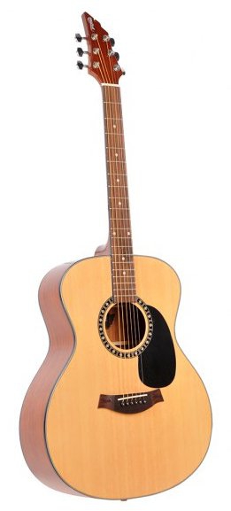 Flycat Special Gloss acoustic guitar