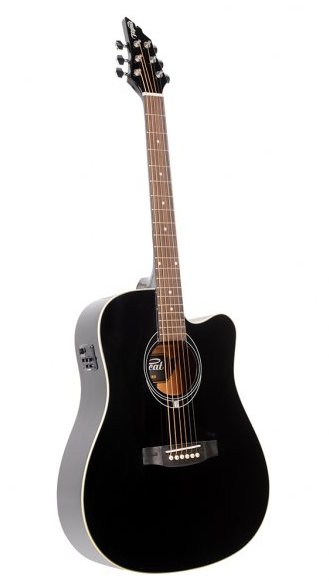 Flycat C100 BK EQ electric acoustic guitar