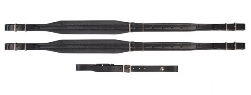 Canto AB-3 60-bass accordion straps with connector