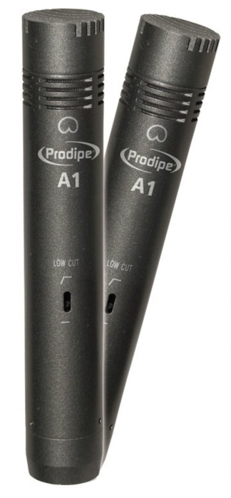 Prodipe A1 Duo pair of microphones