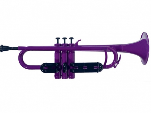 Coolwind CWTR200PP Bb trumpet, case included Coolwind CWTR200PP Bb trumpet, case included