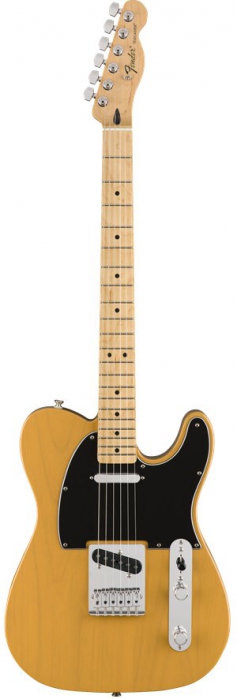 Fender Standard Telecaster MN BTB