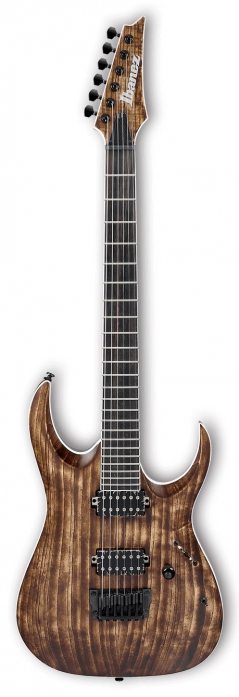 Ibanez RGA IX 6U ABS electric guitar