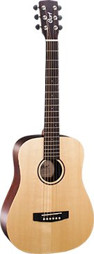 Cort Earth Mini F electric acoustic guitar