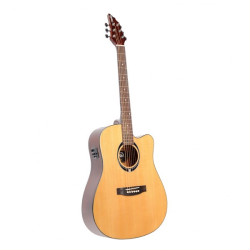 Flycat C100 NT EQ electric acoustic guitar