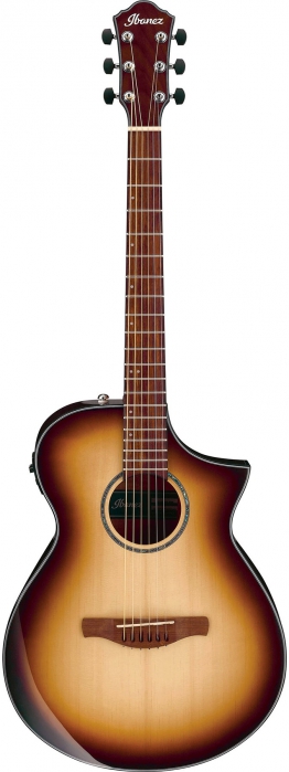 Ibanez AEWC300 NNB electric acoustic guitar