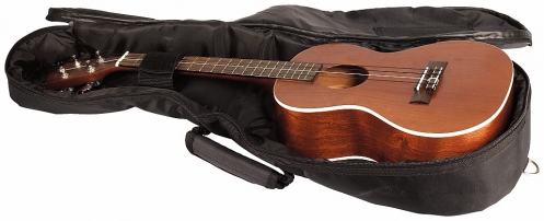 RockBag Student Line Tenor Ukuele Bag