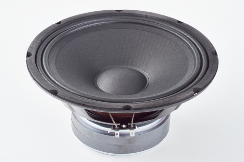 Warwick 10″ Driver WPB 10/8 100W 8 Ohm