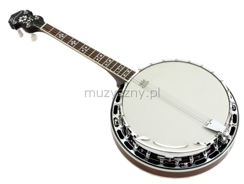 Richwood RBJ804-SS tenor banjo irish model