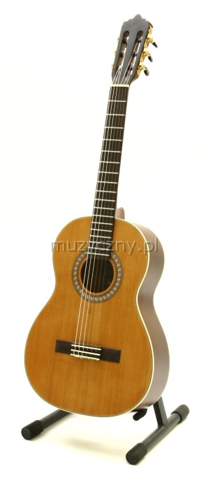 Baton Rouge LMS classical guitar