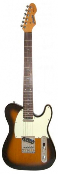 Blade Delta Standard T1 2TS - electric guitar