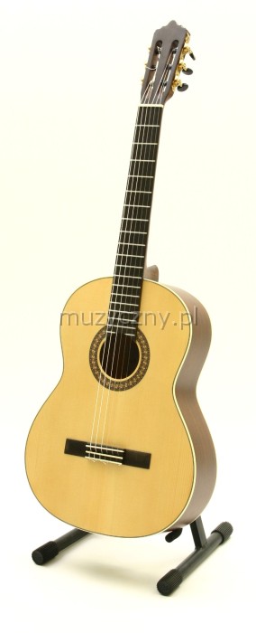 Baton Rouge LM5 SM58 classical guitar