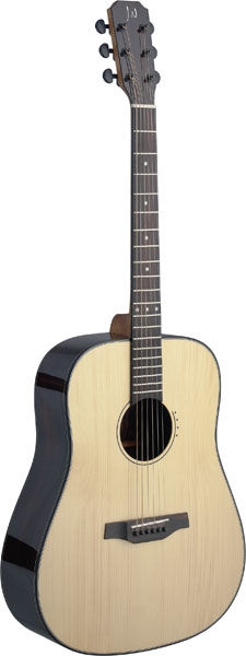 James Neligan LYN-D acoustic guitar