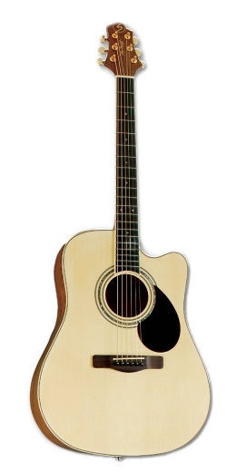 Samick GD-100SC NS acoustic guitar