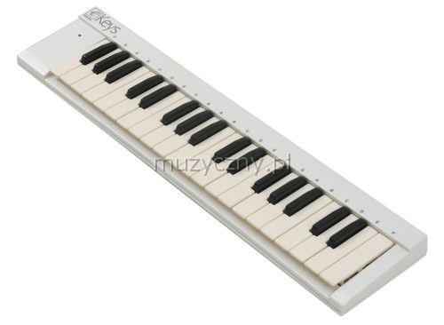 Evolution E-keys 37 MIDI keyboard