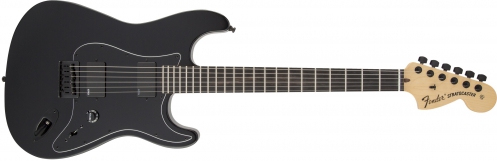 Fender Jim Root Stratocaster Electric Guitar (black)