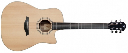 Furch D21-SW Cut acoustic guitar with cover Furch D21-SW Cut acoustic guitar with cover