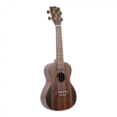 Canto DUC460 concert ukulele with cover