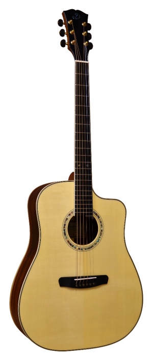 Dowina Cocobolo 3C DCE electric acoustic guitar