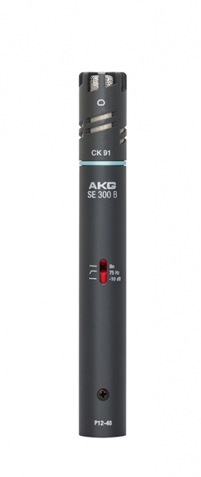 AKG C391B condenser microphone