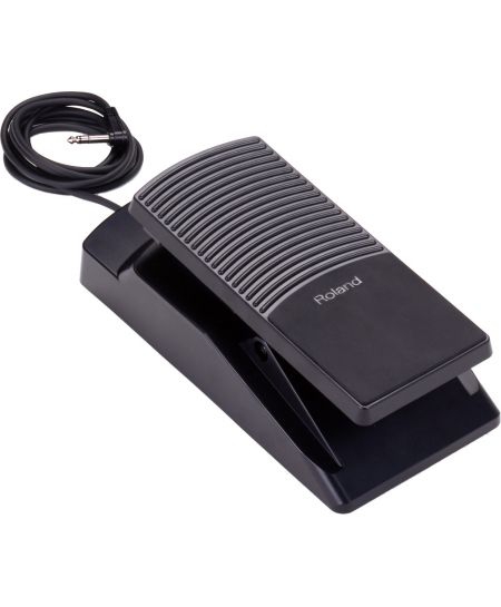 Roland EV 7 peda expression