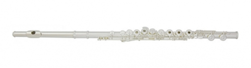 Trevor James 31CF-ROEH flute with case (open flaps, G offset, E mechanism)