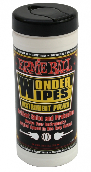 ErnieBall 4263 Body Polish