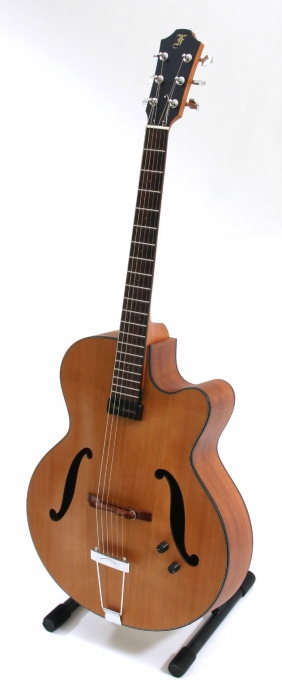 Furch A17-40CM Jazz electric guitar