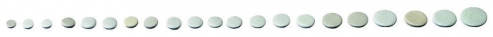 Pisoni 730800