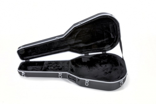 Ovation Ovation Case Bass Mandoline