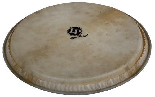 Latin Percussion LP881550