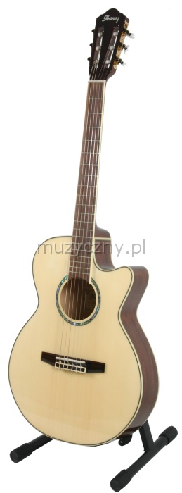 Ibanez AEG10N-ENT classical guitar with EQ