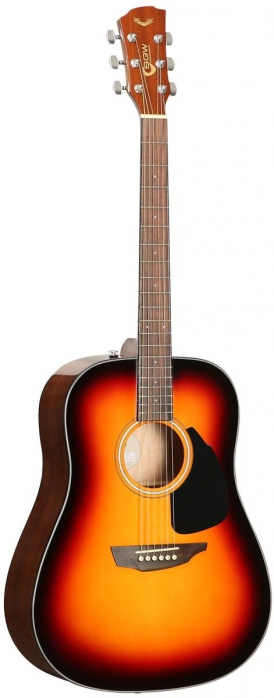 Samick SGW S-200D 3TS acoustic guitar