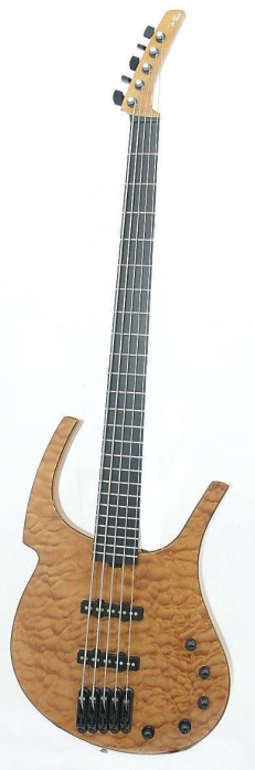 Parker Fly Bass 5N